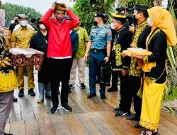 President Jokowi Joins Tana Tidung Residents to Plant Mangrove