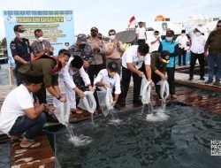 Gubernur Ingin Budidaya Ikan di Pangkil Jadi ‘Embrio’ Kebangkitan Budidaya Ikan Kepri