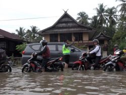 Banjir Rendam Trans Sulawesi, Puluhan Kendaraan Mogok Terobos Genangan