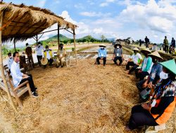 Gov’t Committed to Keeping Rice Stock in Check: Trade Minister