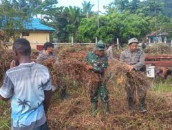 Pasukan Elite Kalajengking Sakti Buka Lahan Pertanian untuk Cegah Krisis Pangan di Papua : Okezone News
