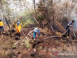 Waspada Kebakaran Hutan, BMKG Deteksi Sejumlah Titik Api di Aceh : Okezone News