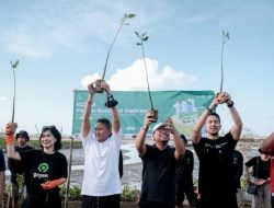 Peringati Hari Pariwisata Dunia Menparekraf Tanam 41 Ribu Mangrove