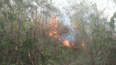 Angin Kencang Hambat Pemadaman Api, Kebakaran di Gunung Ciremai Meluas