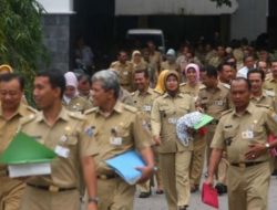 Nasib 11.425 Honorer di Sulsel Masih Belum Jelas