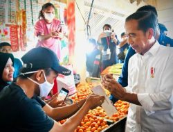 Jokowi Bagikan BLT BBM dan Bantuan Modal Kerja di Kota Tidore
