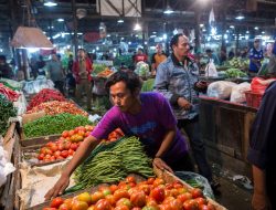 Pemerintah Daerah dan Pusat Bersinergi di Bawah Kepemimpinan Jokowi