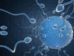 Pasutri Belum Punya Keturunan, Ini 5 Cara Meningkatkan Kualitas Sperma