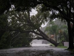 Tegang, Florida Siap-siap Hadapi Kedatangan Badai Kategori 4