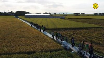 Program JUT Dorong Sektor Pertanian Berkembang Pesat