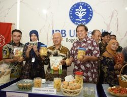 Peneliti IPB Ciptakan Dua Varietas Unggul Baru Kentang: IPB CP1 dan CP3