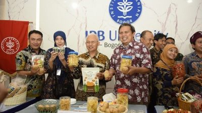 Peneliti IPB Ciptakan Dua Varietas Unggul Baru Kentang: IPB CP1 dan CP3