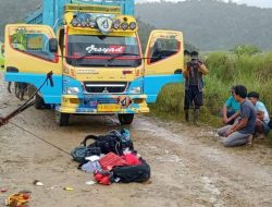 TPNPB Klaim Rampas Senjata Api dari Sopir Truk di Jalan Trans Nabire-Ilaga