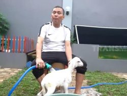 10 Potret Ayah Ojak Mandikan Kambing Kesayangan Ayu Ting Ting, Si Beno!