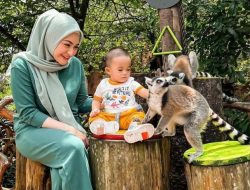 10 Momen Nathalie Holscher Healing Bareng Karyawan, Naik Gajah sampai Main Bom-Bom Car