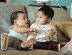 Gemas, Ini 11 Momen Playdate Baby Ameena dan Baby Izz, Bayi Sultan Kesayangan Netizen
