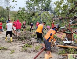 Angin Kencang Terjang Ngadirojo Wonogiri, Sejumlah Rumah Tertimpa Pohon