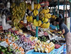 Wujud Kesejahteraan Petani, Buah Nusantara Harus Jadi Tuan Rumah di Negeri Sendiri