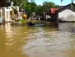 Sebanyak 2.911 Jiwa di Kalimantan Barat Terdampak Banjir Setinggi 2,5 Meter