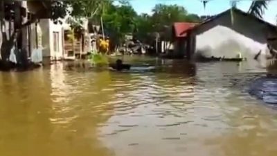 Sebanyak 2.911 Jiwa di Kalimantan Barat Terdampak Banjir Setinggi 2,5 Meter