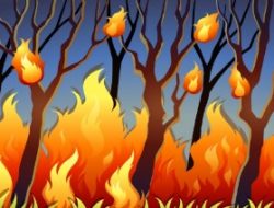 BPBD Kerahkan Helikopter untuk Padamkan Karhutla di 2 Kabupaten