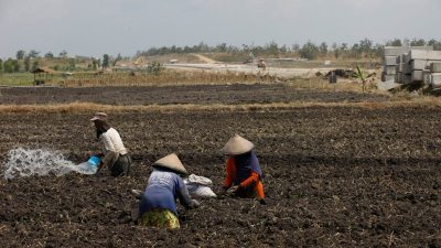 Menkeu dan Mentan Global Tegaskan Komitmen G20 dalam Atasi Tantangan Ketahanan Pangan