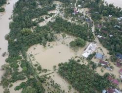 1.114 Hektare Sawah di Aceh Terancam Gagal Panen Akibat Banjir