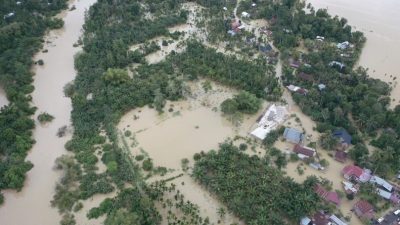 1.114 Hektare Sawah di Aceh Terancam Gagal Panen Akibat Banjir