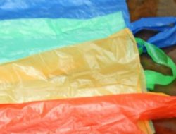 Dampak Ekonomi terhadap Gerakan Bijak Memakai Plastik