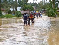 3.651 Jiwa Terdampak Akibat Banjir di Aceh Timur