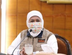 Khofifah: Sejumlah Komoditas di Jatim Menurun, Bahkan di Bawah HET