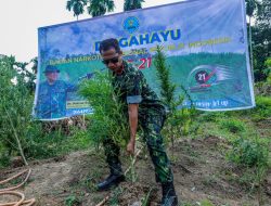 Sambut HUT Ke-21, BNN RI Musnahkan 4 Hektar Ladang Ganja Di Lhokseumawe