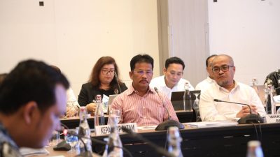 BP Batam Sampaikan Sasaran Strategis 2024 Dalam Konsinyering Komisi VI DPR RI