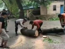 Respon cepat, Bhabinkamtibmas Sei Jodoh Polsek Batu Ampar Membantu Pohon Tumbang yang Menutup Badan Jalan