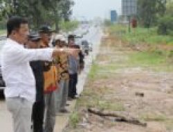 Rudi Tinjau Perkembangan Pohon Jati Emas
