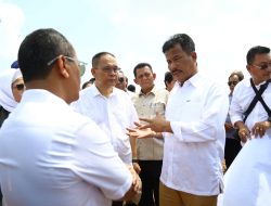 Bahas Percepatan Pengembangan Pulau Rempang, Kepala BP Batam Apresiasi Dukungan Menteri Investasi RI