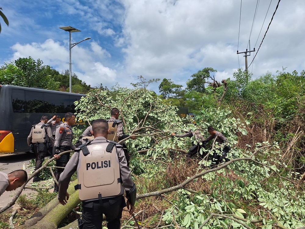 Personel kepolisian saat menyingkirkan pohon yang sengaja ditebang oleh oknum masyarakat tak bertanggung jawab demi menghalangi jalannya tim pengukuran. (hms)