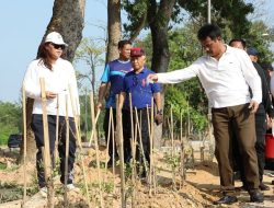 Terus Melaju Wujudkan Batam Hijau dan Asri