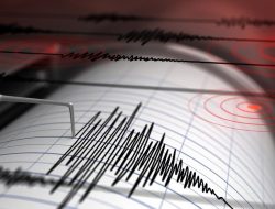 Gempa Magnitudo 4,3 Guncang Wilayah Pohuwato, Gorontalo Hari Ini