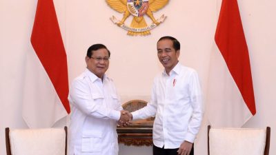 Jokowi Instruksikan Prabowo Kirim Nakes dan Bangun RS di Gaza