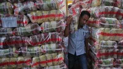 Mengenal Beras Premium yang Akan Jadi Sasaran PPN 12 Persen