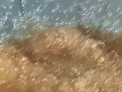 Geger Hujan Jelly di Gorontalo, BMKG Buka Suara
