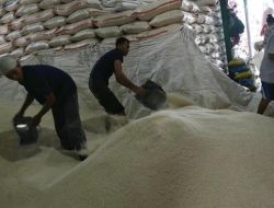 Harga Beras Kompak Naik, Medium Paling Drastis