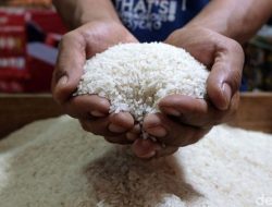 Ombudsman Sebut MBG di Bogor Pakai Beras Medium, Padahal Wajib Premium