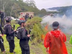 Ladang Ganja Rp 621 M di Aceh Dimusnahkan, Bareskrim Selamatkan 465 Juta Jiwa