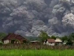 3 Desa di Lumajang Terdampak Erupsi Gunung Semeru, 300 Warga Mengungsi