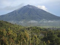 Menhut Turun ke Seblat, Restorasi Konservasi Gajah Dimulai