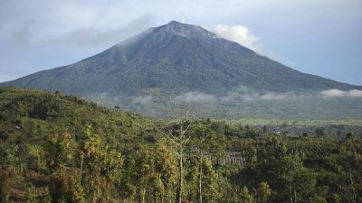Menhut Turun ke Seblat, Restorasi Konservasi Gajah Dimulai