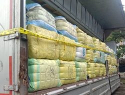 2 WN Korsel Bisnis Thrifting di Bali 5 Tahun, Total Transkasi Rp669 M