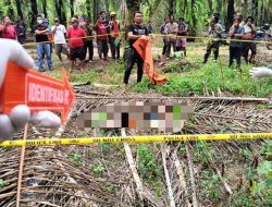 Hilang Sepekan, Jasad Siswa SMK Lampung Ditemukan Membusuk di Kebun Sawit
